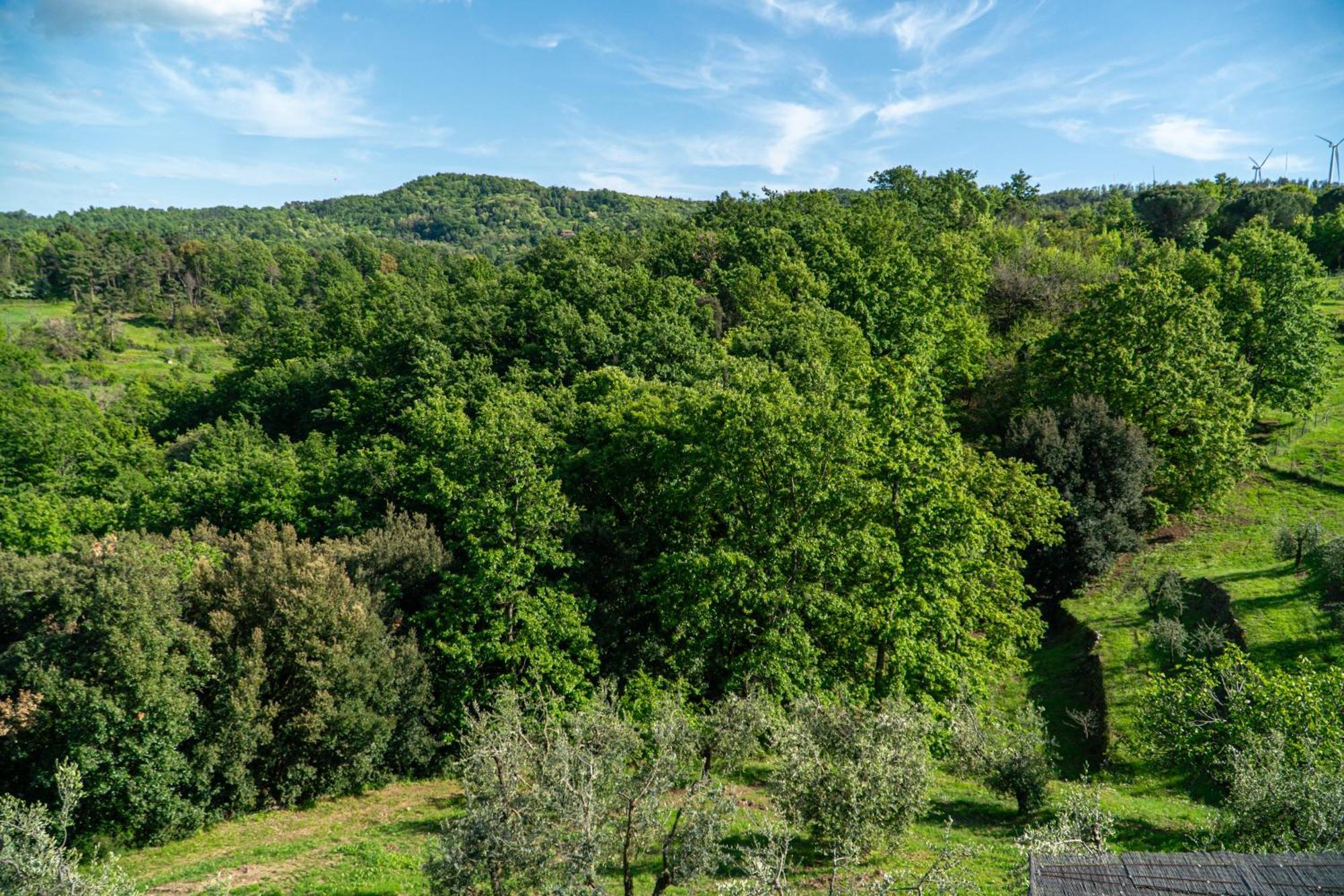 Апарт отель Piccozzo Agritour Кашиана-Терме Экстерьер фото